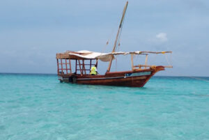 Read more about the article 1 Day Wasini Island & Kisite Marine Park