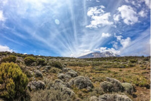 Read more about the article 7 Days / 6 nights – Mt. Kilimajaro Climb – Marangu route