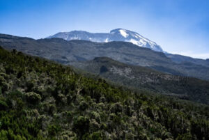 Read more about the article 7 Days – Mt. Kilimajaro Climb – Machame Route